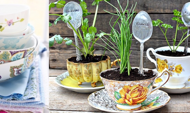 Un mini jardin vintage dans une tasse à thé